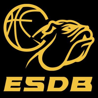 ES DAMMARIE BASKET - 1